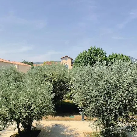 Type Industriel Dans Cadre Provencal